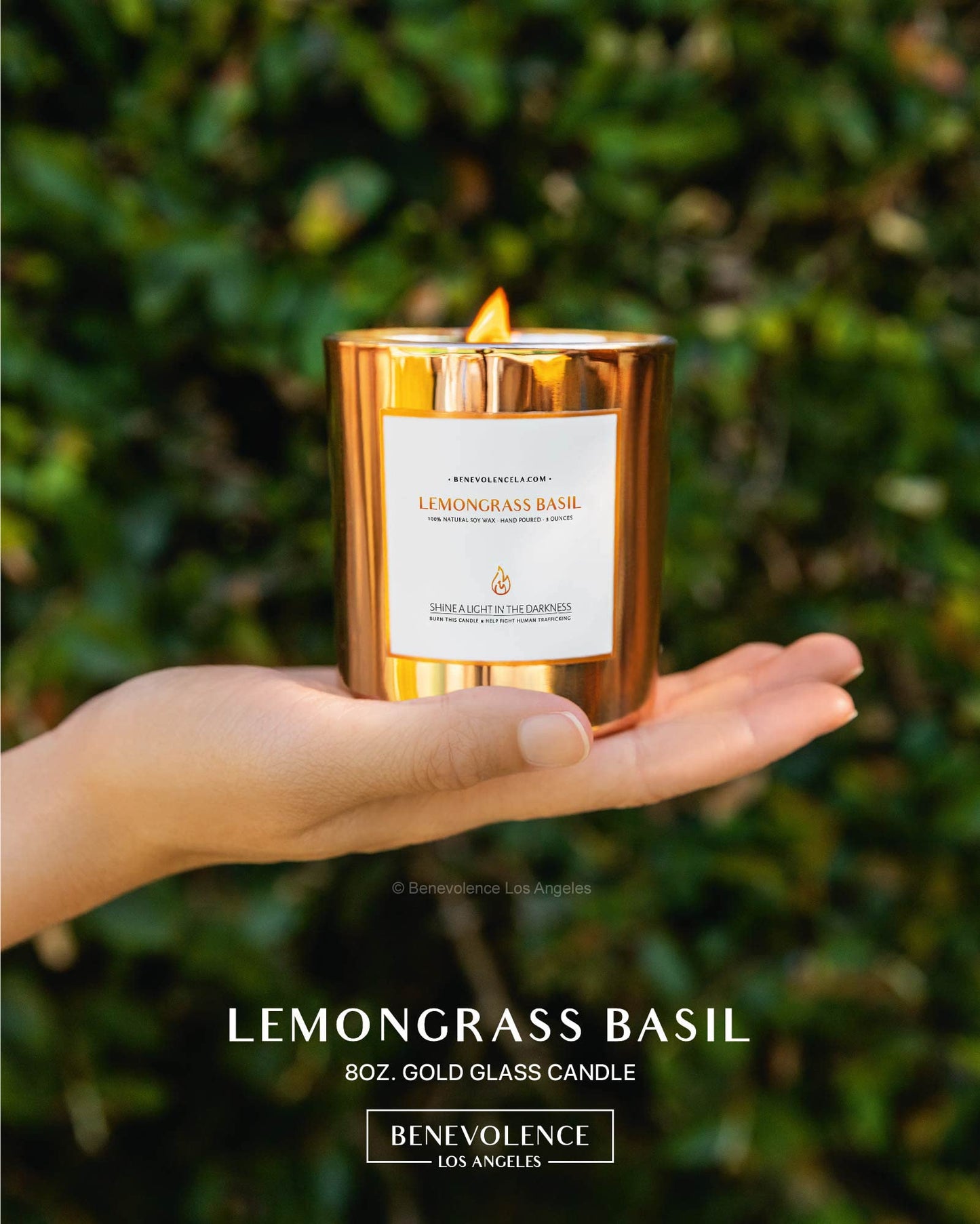 Santal Candle by Benevolence LA Candles | 14.5 oz| 3 Wick Natural Soy in Black Wax