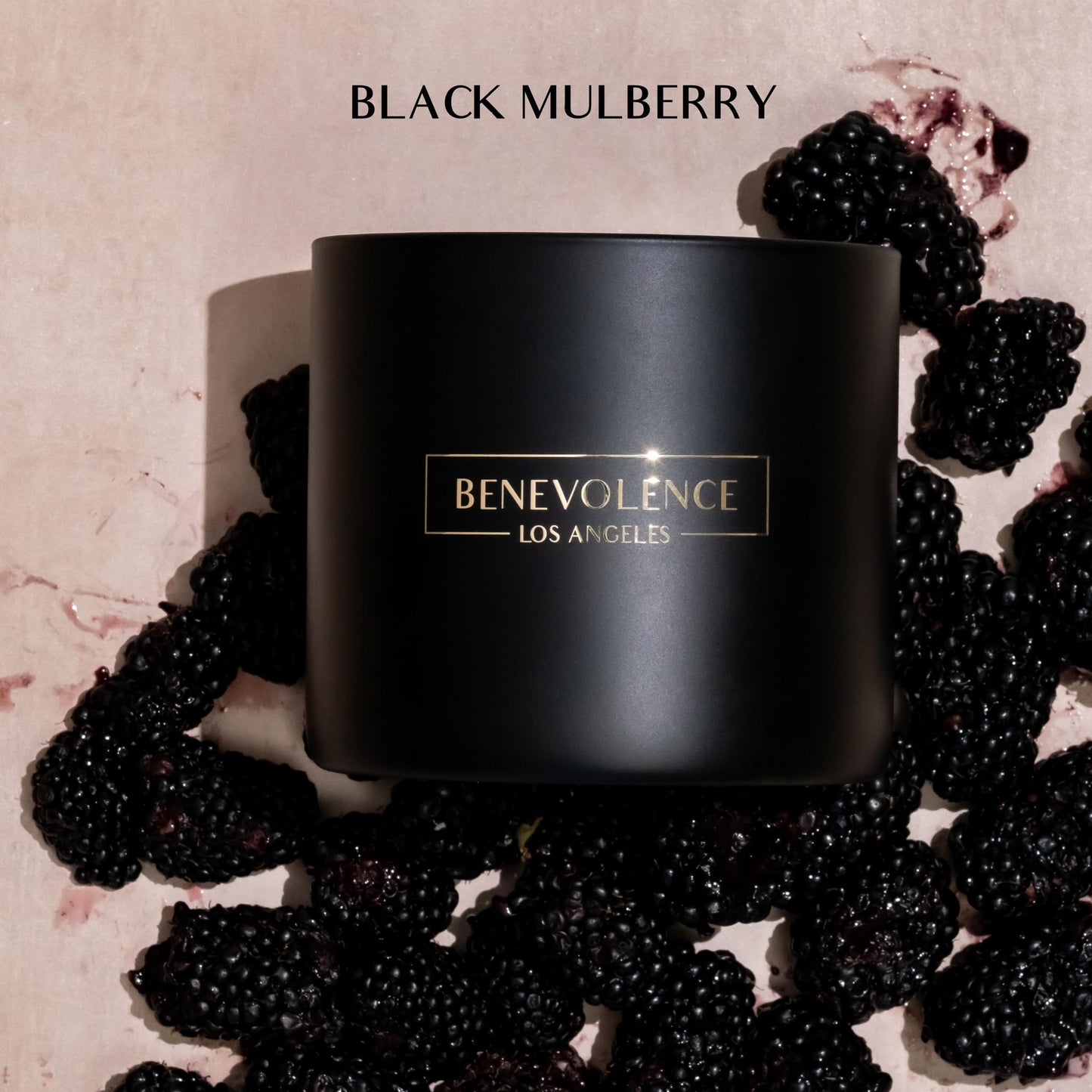 Santal Candle by Benevolence LA Candles | 14.5 oz| 3 Wick Natural Soy in Black Wax