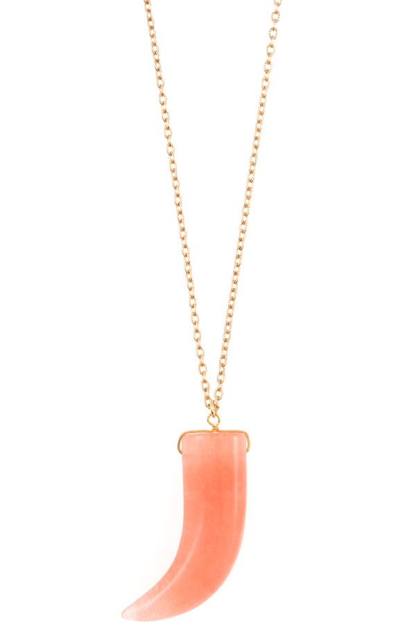 Horn Pendant Necklace