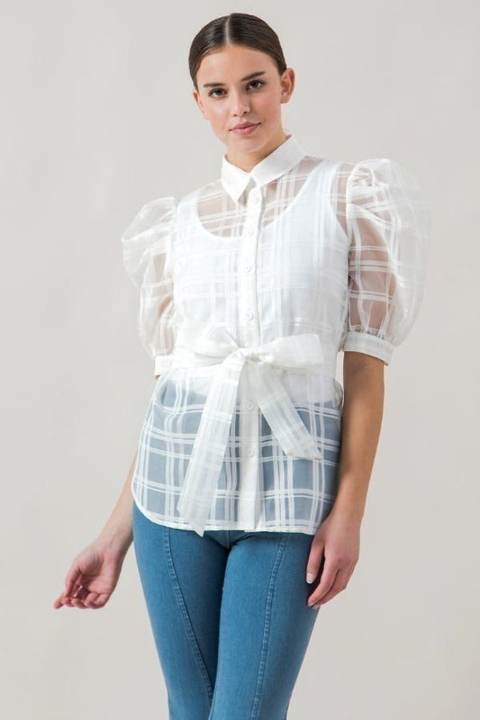 Sheer Belted Organza Top
