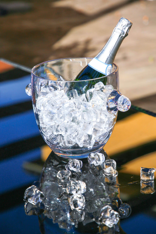 Crystal Clear Oval-Shaped Acrylic Champagne Bucket by Baroque & Rock